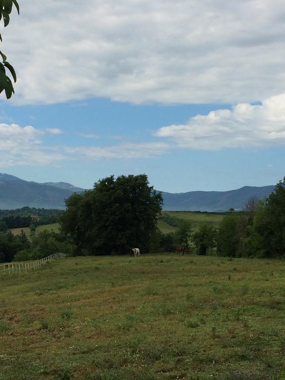 Tenuta Di Vico Moricino Анани Стая снимка